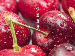 美早大樱桃—快递直送